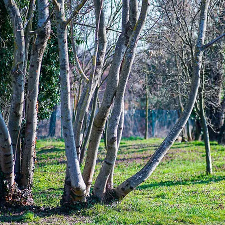 Antik Porta-hangulatos Parasztház Kerttel,borospincével és Infraszaunával Hébergement de vacances